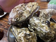 -蚝堡海鲜·威海菜·海肠捞饭·烧烤·亚洲吃蚝公司(幸福门店)