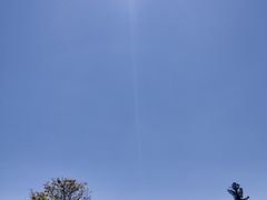 -墨尔本皇家植物园