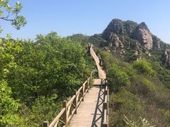 -大岭沟猕猴桃谷风景区
