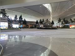 -青岛胶东国际机场