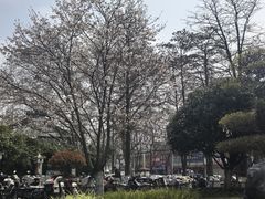 -堤角公园