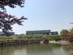 -嘉定紫藤园