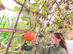 -北极村旅游风景区
