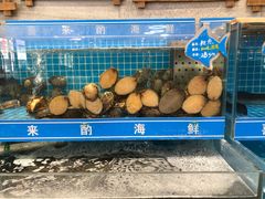 -喜来酌海鲜·饺子(和平一店)