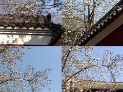 -长春观