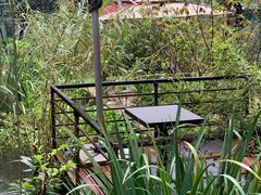 -谷咖啡·鲜花绿植花园餐厅