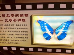 -上海昆虫博物馆
