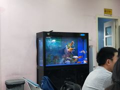 -北京市中关村医院