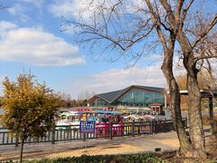 -上海长兴岛郊野公园