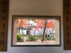 -秋霞圃