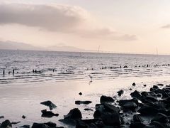 -深圳湾公园(南山区)
