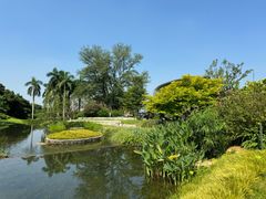 -云溪植物园