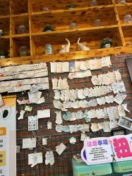 -零重力蹦床空间·滑梯·海洋球·团建(奥特莱斯店)