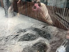 -武汉动物园