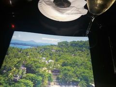 android_upload_pic-上海璞麗酒店