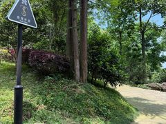 -南山植物园