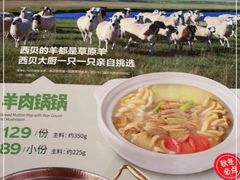 -西贝莜面村(正大广场店)