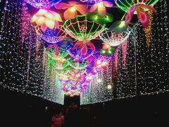 -毛遂公园