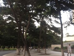 -东北大学(南湖校区)