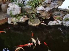 -道南書院·私房菜·早午茶·茶馆