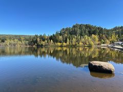 -五营红松林海景区