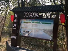 -溱湖国家湿地公园