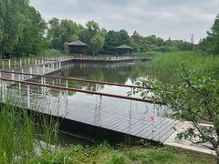 -同里国家湿地公园