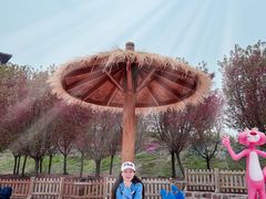 -古柏渡飞黄旅游区