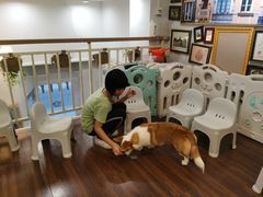 -柯斗斗主题餐厅·狗咖·围炉煮茶·茶饮(国瑞升平里店)