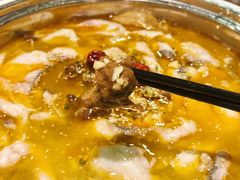 -龙梅肥肠鱼(明瓦廊店)