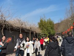 -渭南桃花源民俗文化园