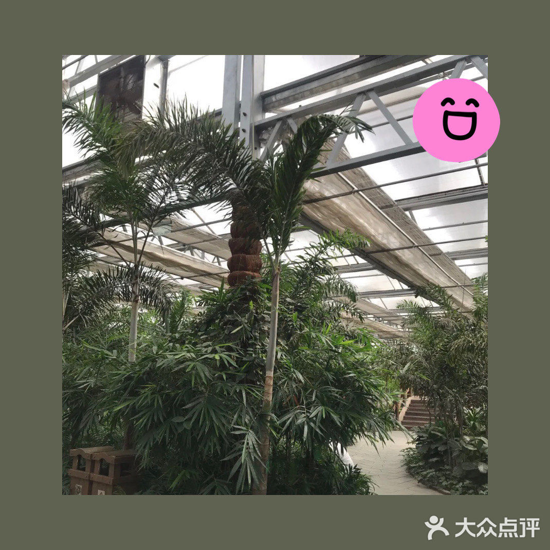 美丽世界——南宫五洲植物乐园