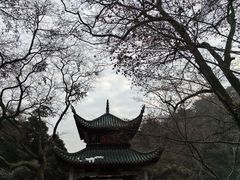 -岳麓山风景名胜区