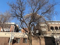 -天津五大道文化旅游区