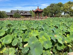 -稻香湖景欢乐岛温泉城堡
