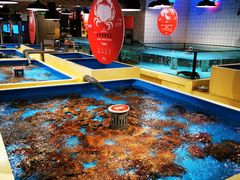 -日进一片海.生腌海鲜火锅.宵夜烧烤(三里屯总店)