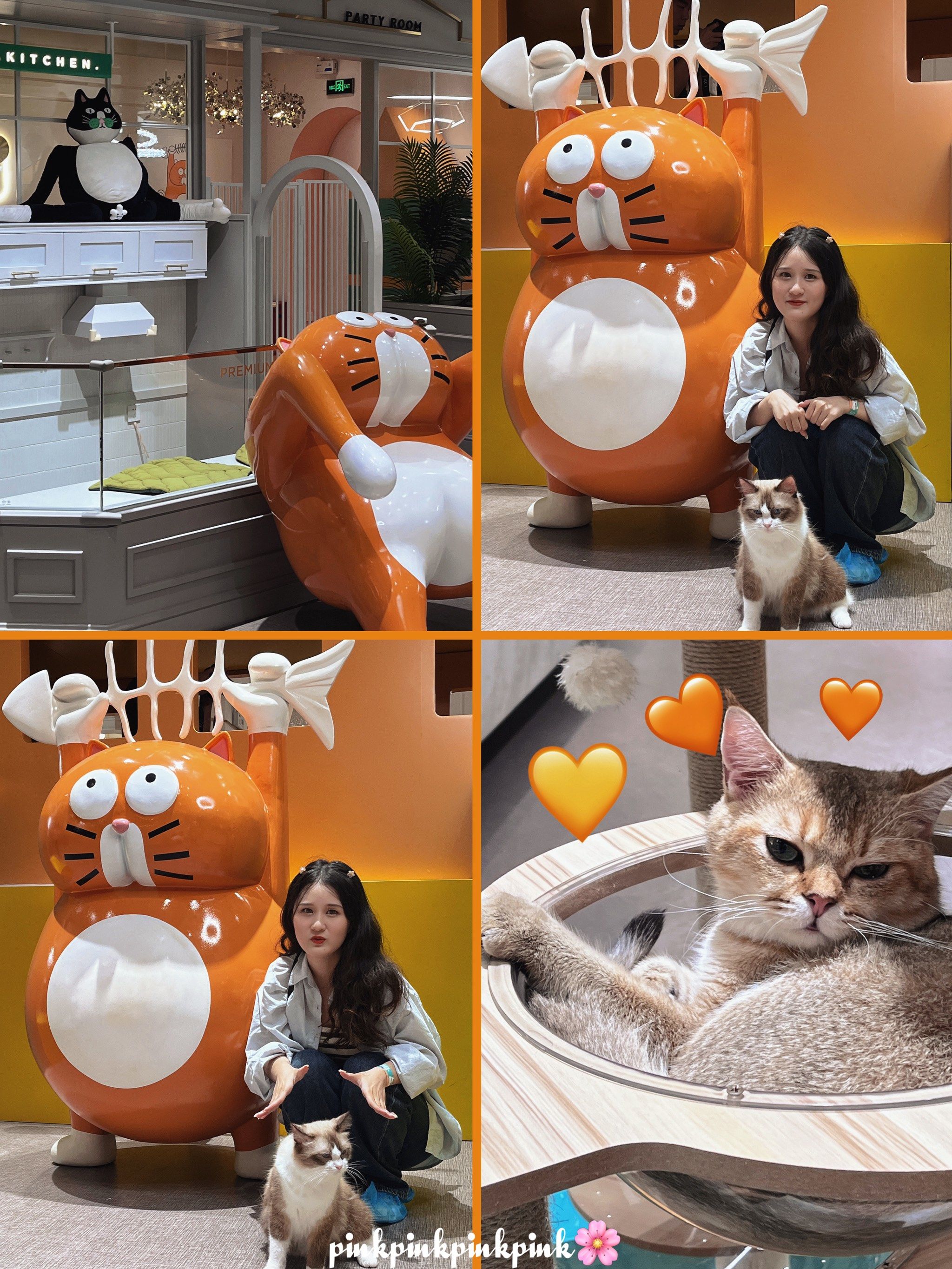 汕头万象城新展?40+网红猫猫好好玩
