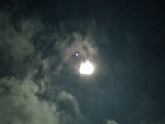 -武陵山森林公园