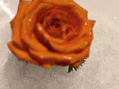 -海底捞火锅(金光华店)