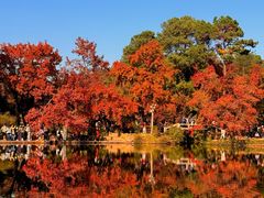 -西山人家·传统苏帮菜·家宴(木渎店)