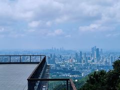 -紫金山山顶公园