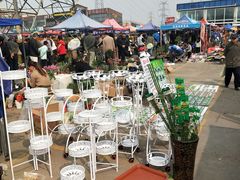 -中环花鸟鱼虫市场