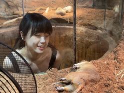 -Zoolung Zoolung动物主题公园(海信广场店)