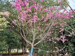 -梁鸿国家湿地公园