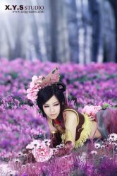 -星元素cosplay动漫摄影写真工作室