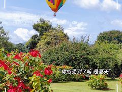 -中国科学院西双版纳热带植物园
