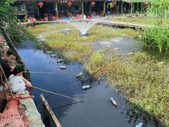 -同銮特种养殖场·龙虾垂钓