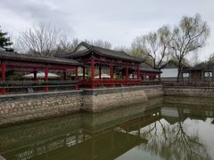 -尚庄度假村·庭台树下·户外烧烤·团建CS·轰趴营地(上庄水库店)