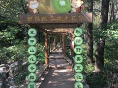 -大岭沟猕猴桃谷风景区