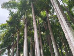 -竹子林(地铁站)